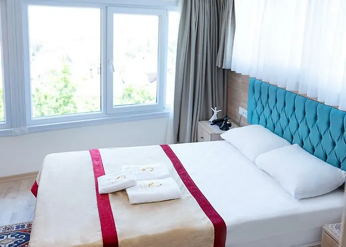 Szálloda The Laila 3*